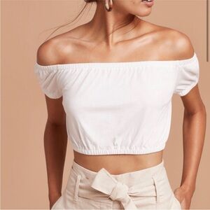 Aritzia • crop top
